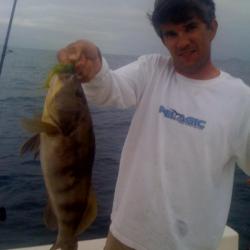 2011-07-12-Sandbass