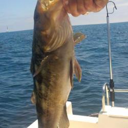 2011-08-07_13-58-13_192