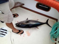 2013-07-27_tuna-on-boat