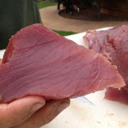 2013-07-28_tuna-steak